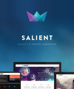 Salient Responsive Multi Purpose Theme