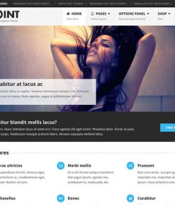 MyThemeShop Point Pro WordPress Theme