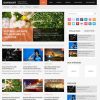 MyThemeShop-Daynight-WordPress-Theme