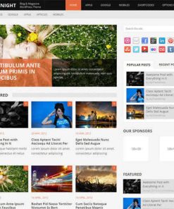 MyThemeShop-Daynight-WordPress-Theme