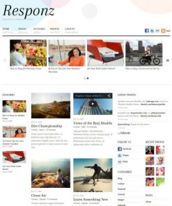 Themify Responz WordPress Theme