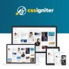 49 CSS-Igniter-Pinfinity-WordPress-Theme