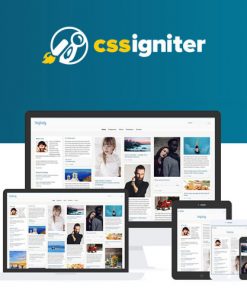 49 CSS-Igniter-Pinfinity-WordPress-Theme