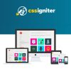 50 CSS-Igniter-Nico-WordPress-Theme