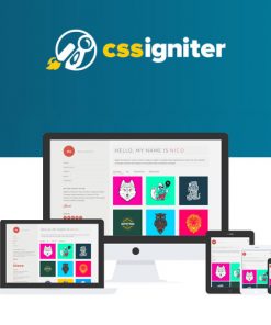 50 CSS-Igniter-Nico-WordPress-Theme