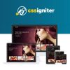 52 CSS-Igniter-Beaute-WordPress-Theme