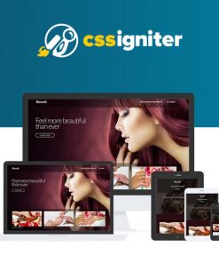 52 CSS-Igniter-Beaute-WordPress-Theme