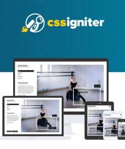 55 CSS-Igniter-Eclecticon-WordPress-Theme