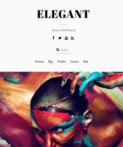 Themify-Elegant-WordPress-Theme