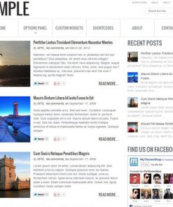 MyThemeShop-Simple-WordPress-Theme