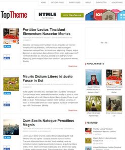 MyThemeShop-Top-WordPress-Theme