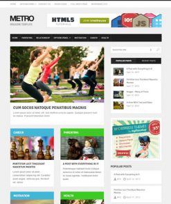 MyThemeShop-Metro-WordPress-Theme