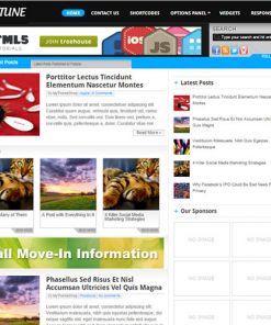 MyThemeShop-Fortune-WordPress-Theme