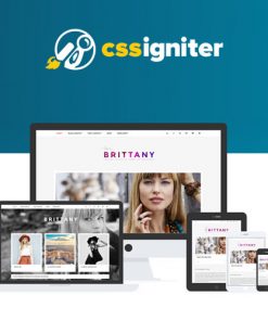 CSS-Igniter-Brittany-WordPress-Theme