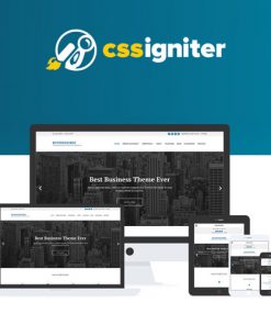 CSS-Igniter-Business3ree-WordPress-Theme