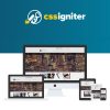 CSS-Igniter-BusinessTwo-WordPress-Theme