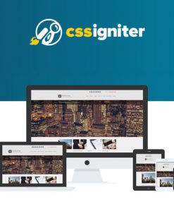 CSS-Igniter-BusinessTwo-WordPress-Theme