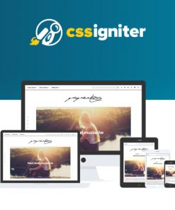 CSS-Igniter-Paperbag-WordPress-Theme