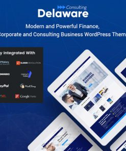 Delaware Consulting And Finance Wordpress Theme