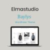 ElmaStudio-Baylys-WordPress-Theme