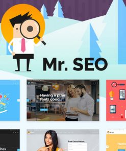 Mr Seo Seo Marketing Agency And Social Media Theme