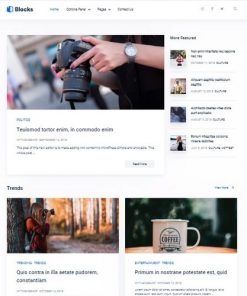 Mythemeshop Blocks Wordpress Theme