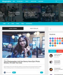 MyThemeShop-Blogging-Box-WordPress-Theme 18