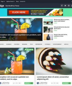 Mythemeshop Bridge Wordpress Theme