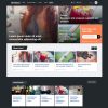 MyThemeShop-Dividend-WordPress-Theme