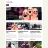 MyThemeShop-Fashionblog-WordPress-Theme 11