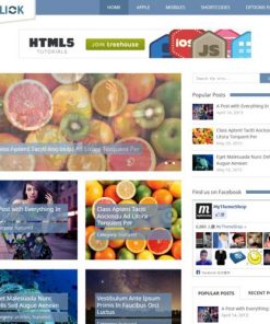 MyThemeShop-Flick-WordPress-Theme