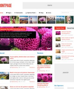 MyThemeShop-Frontpage-WordPress-Theme