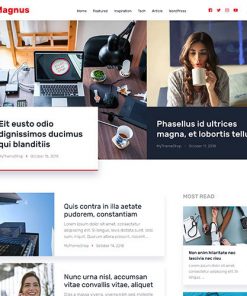 MyThemeShop-Magnus-WordPress-Theme