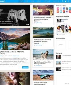 MyThemeShop-Pinstagram-WordPress-Theme