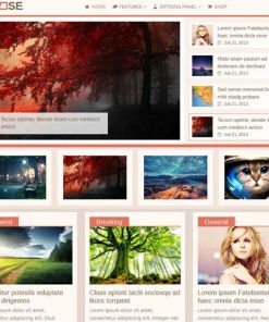 MyThemeShop-Repose-WordPress-Theme