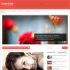 MyThemeShop-Saturation-WordPress-Theme