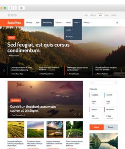 Mythemeshop Social Now Wordpress Theme