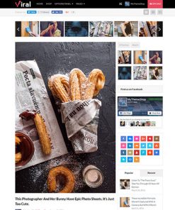 MyThemeShop-Viral-WordPress-Theme 19