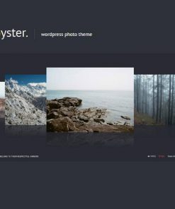 Oyster Creative Photo Wordpress Theme