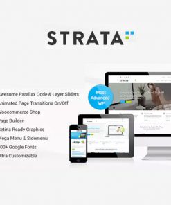 Strata Professional Multi Purpose Theme