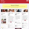 Themify-Pinboard-WordPress-Theme 5