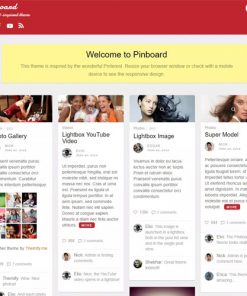 Themify-Pinboard-WordPress-Theme 5