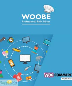 Woobe Woocommerce Bulk Editor Professional (1)