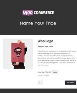 Woocommerce Name Your Price