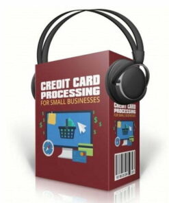 Credit Card Processing For Small Businesses 387x480.jpg